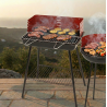 Square carbon barbecue with windscreen made of lacquered steel.